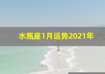 水瓶座1月运势2021年