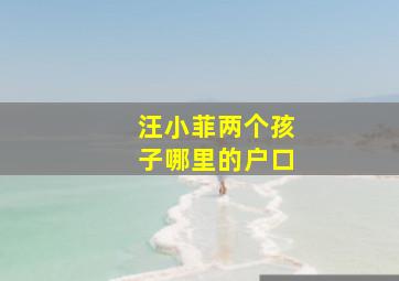 汪小菲两个孩子哪里的户口