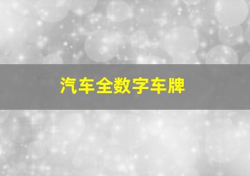 汽车全数字车牌