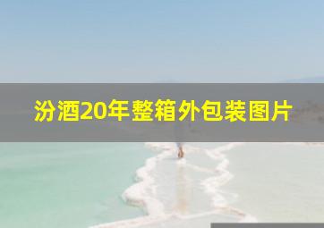 汾酒20年整箱外包装图片