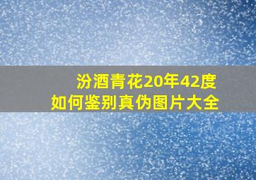 汾酒青花20年42度如何鉴别真伪图片大全