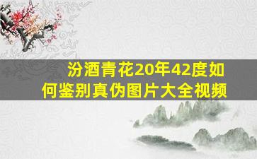 汾酒青花20年42度如何鉴别真伪图片大全视频