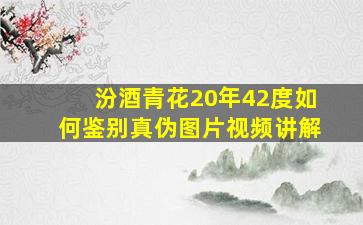 汾酒青花20年42度如何鉴别真伪图片视频讲解