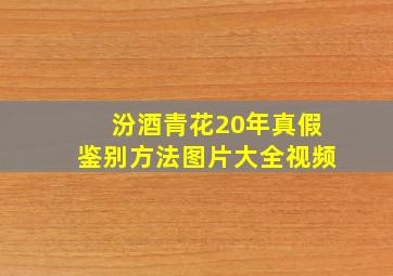 汾酒青花20年真假鉴别方法图片大全视频