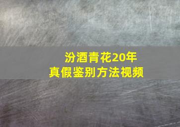 汾酒青花20年真假鉴别方法视频