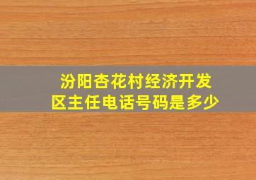 汾阳杏花村经济开发区主任电话号码是多少