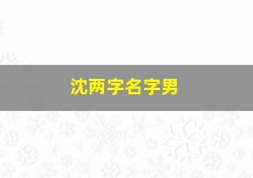 沈两字名字男