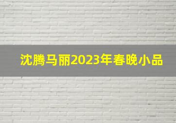 沈腾马丽2023年春晚小品