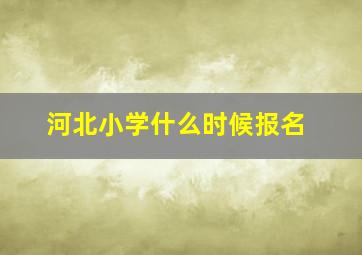 河北小学什么时候报名