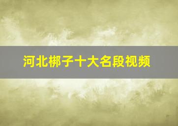 河北梆子十大名段视频