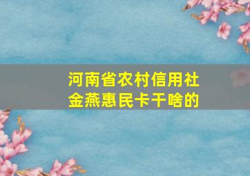 河南省农村信用社金燕惠民卡干啥的