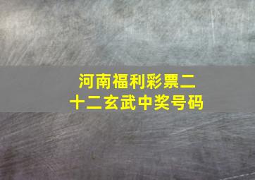 河南福利彩票二十二玄武中奖号码