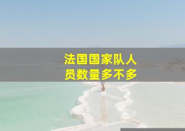 法国国家队人员数量多不多