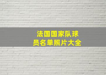 法国国家队球员名单照片大全