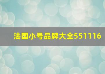 法国小号品牌大全551116