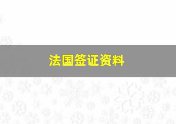 法国签证资料