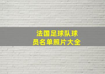 法国足球队球员名单照片大全