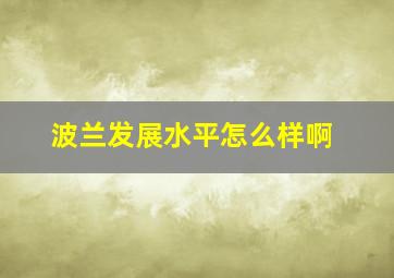 波兰发展水平怎么样啊