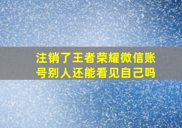 注销了王者荣耀微信账号别人还能看见自己吗