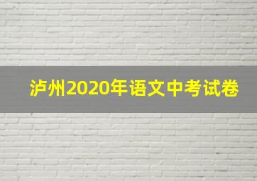 泸州2020年语文中考试卷