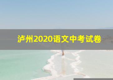 泸州2020语文中考试卷