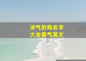 洋气的狗名字大全霸气英文