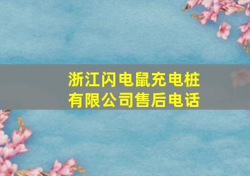 浙江闪电鼠充电桩有限公司售后电话