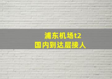 浦东机场t2国内到达层接人