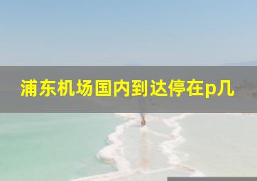 浦东机场国内到达停在p几