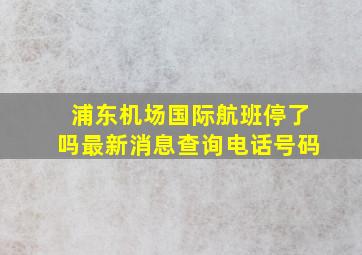 浦东机场国际航班停了吗最新消息查询电话号码