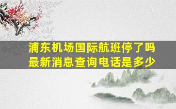 浦东机场国际航班停了吗最新消息查询电话是多少