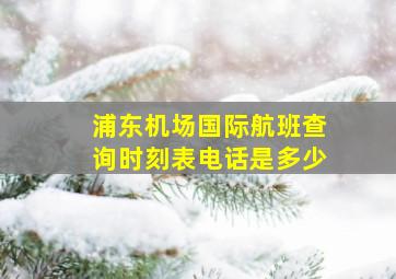 浦东机场国际航班查询时刻表电话是多少