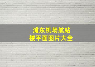 浦东机场航站楼平面图片大全