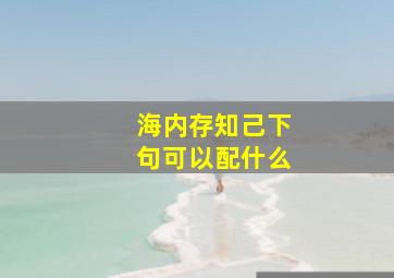 海内存知己下句可以配什么