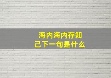 海内海内存知己下一句是什么