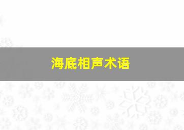 海底相声术语