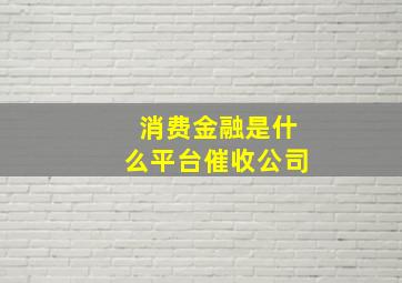 消费金融是什么平台催收公司