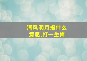 清风明月指什么意思,打一生肖