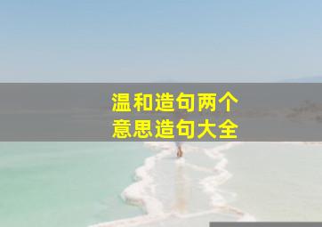 温和造句两个意思造句大全