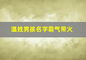 温姓男孩名字霸气带火