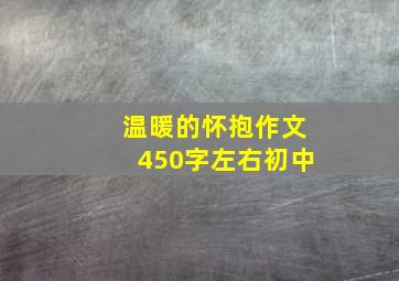 温暖的怀抱作文450字左右初中