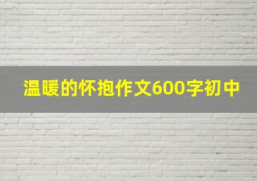 温暖的怀抱作文600字初中