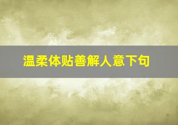 温柔体贴善解人意下句