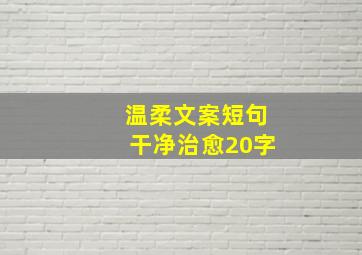 温柔文案短句干净治愈20字