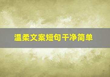 温柔文案短句干净简单