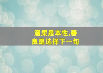 温柔是本性,善良是选择下一句