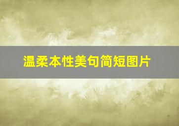 温柔本性美句简短图片