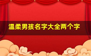 温柔男孩名字大全两个字