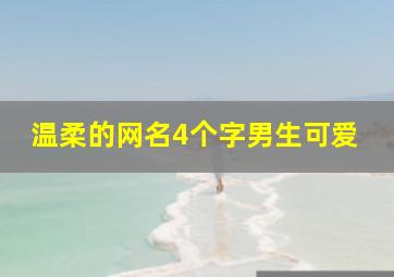 温柔的网名4个字男生可爱