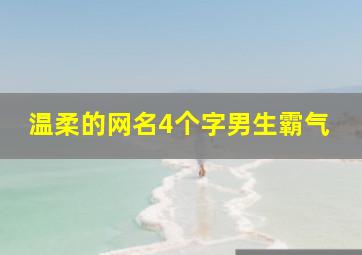 温柔的网名4个字男生霸气